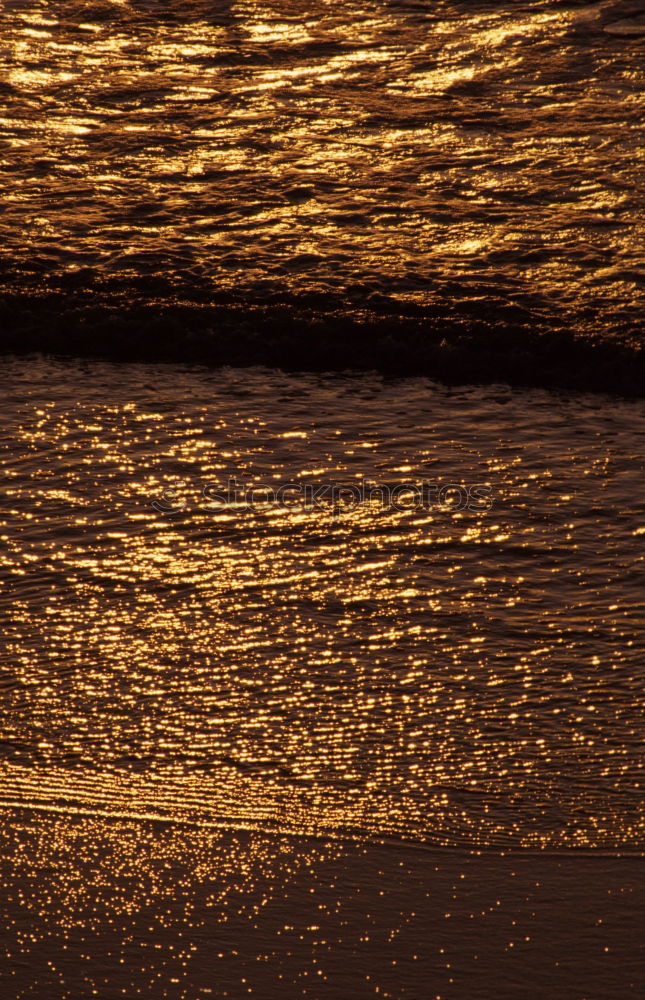 Similar – Liquid Gold Ocean Waves