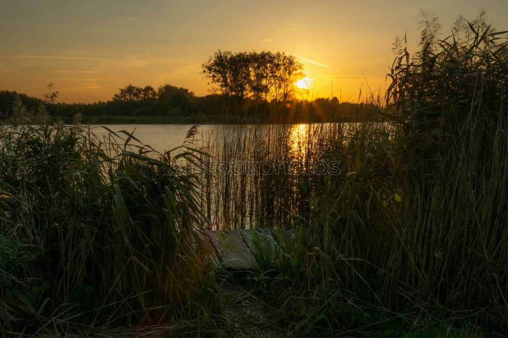 Similar – Nature Landscape Meadow