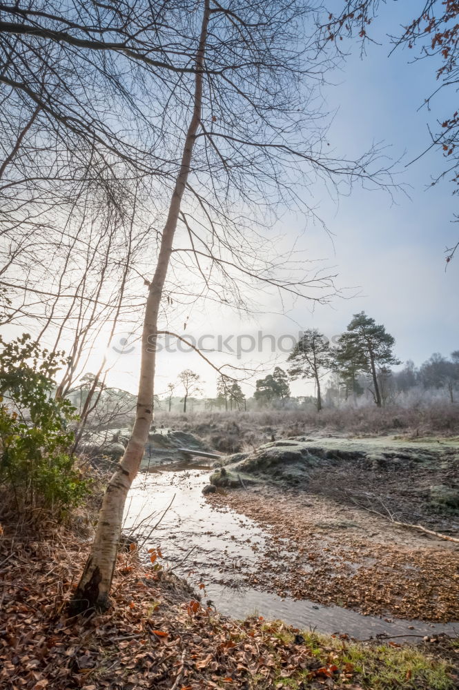 Similar – Image, Stock Photo Dark path II Nature