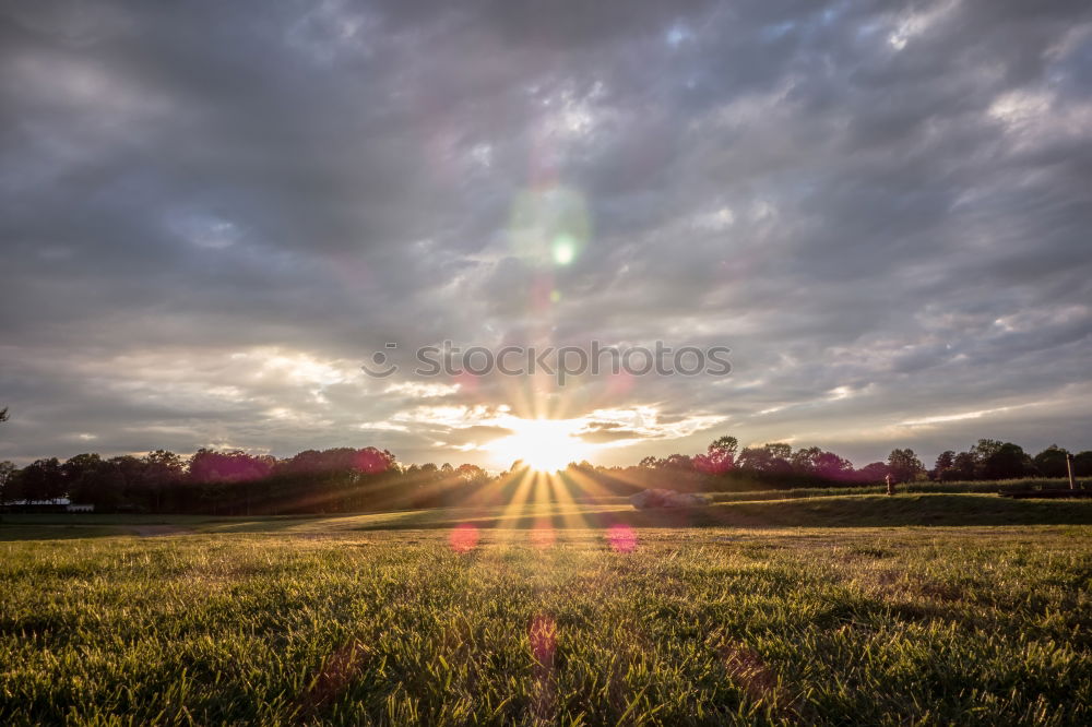 Similar – Image, Stock Photo sunrise Sunrise Fog Meadow