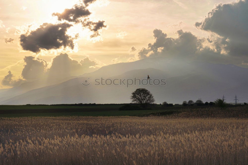 Similar – Image, Stock Photo Beautiful autumn sunny evening panorama. Tatras mountains