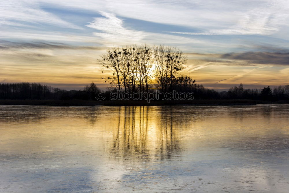 Similar – Spiegelwald Wald Baum See