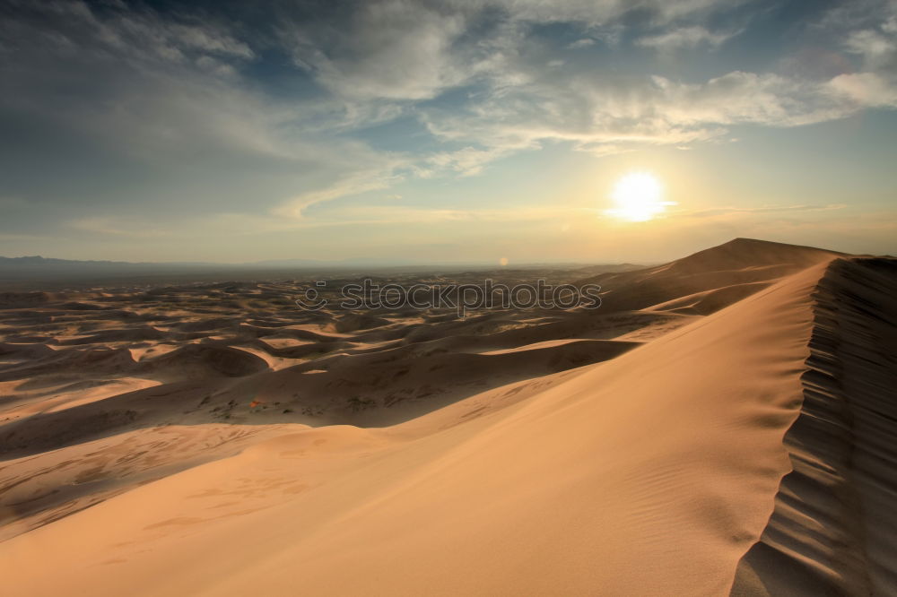 Similar – Image, Stock Photo Take a time out in the oase Huacachina in Peru