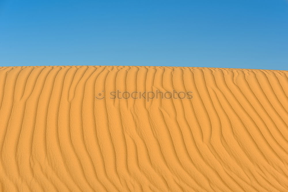 Similar – Image, Stock Photo Sandstorm in Sossusvlei #1