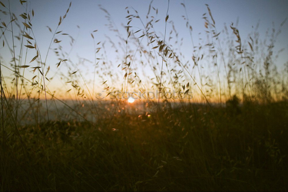 Similar – Summer landscape in autumn