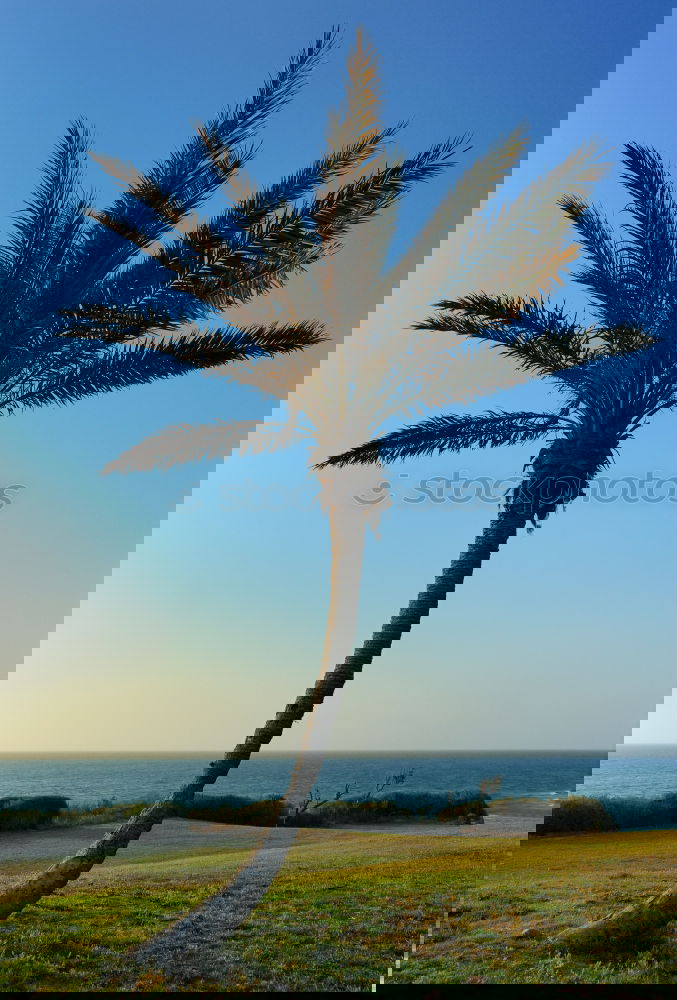 Similar – Foto Bild Immer dieser Nordwind…