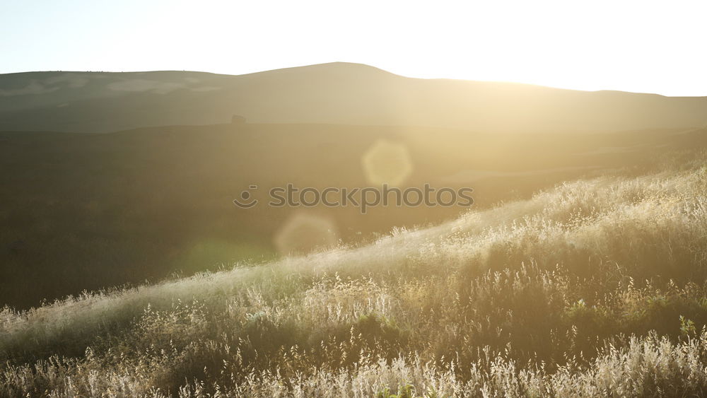 Similar – Image, Stock Photo dry Adventure