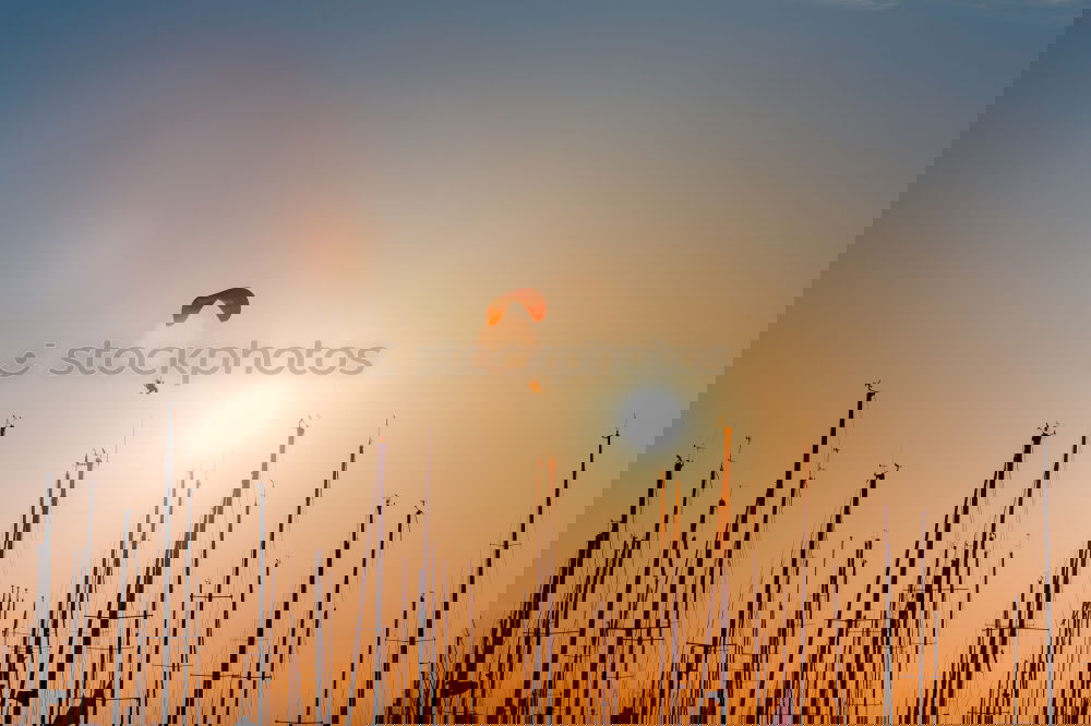Similar – Image, Stock Photo summer Windsurfing