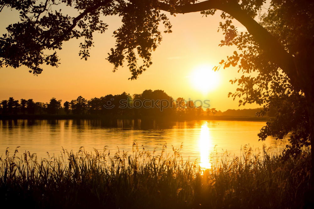 Summer evening at the Bodden