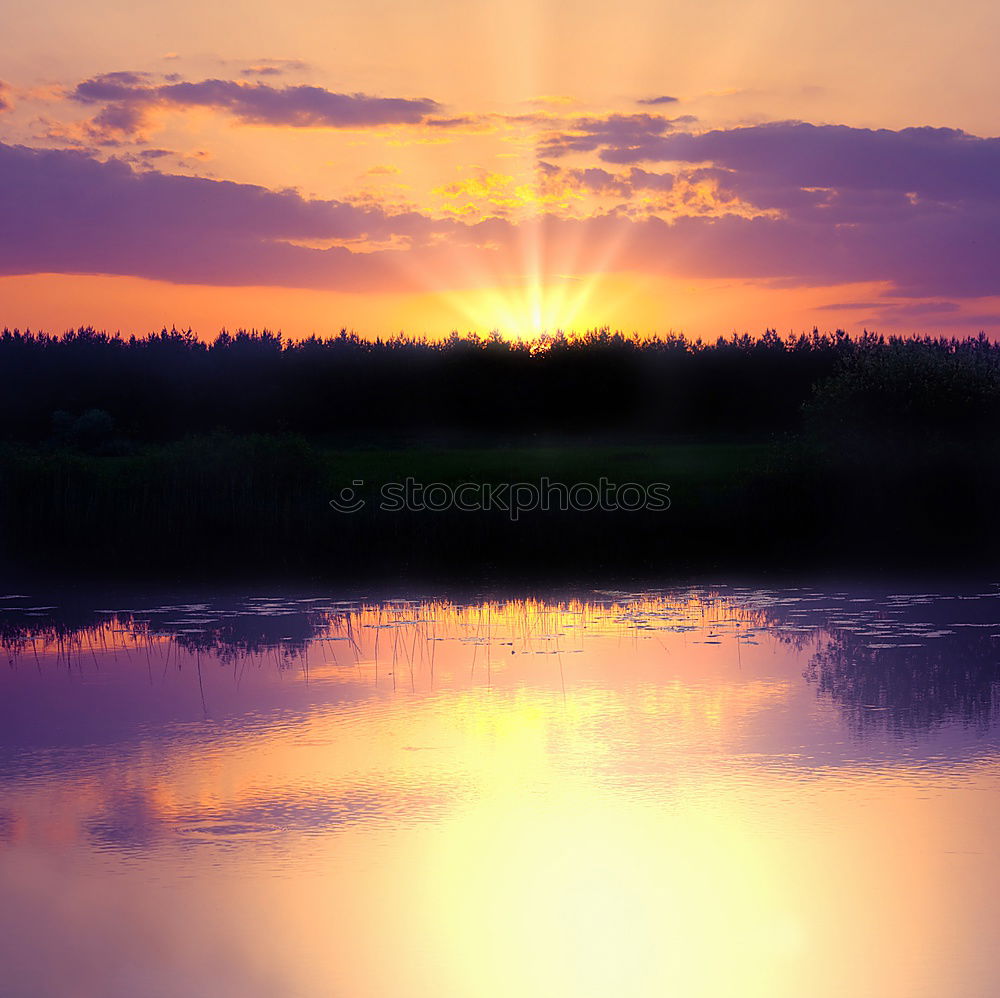 Similar – Image, Stock Photo Inn river bank Sunset Bird