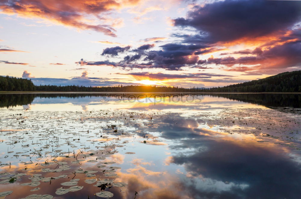 Similar – Image, Stock Photo reservoir Environment