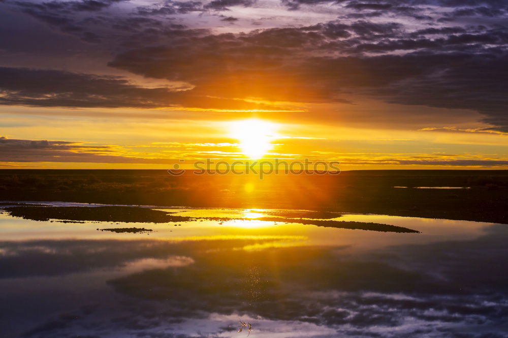 Similar – Image, Stock Photo Inn river bank Sunset Bird