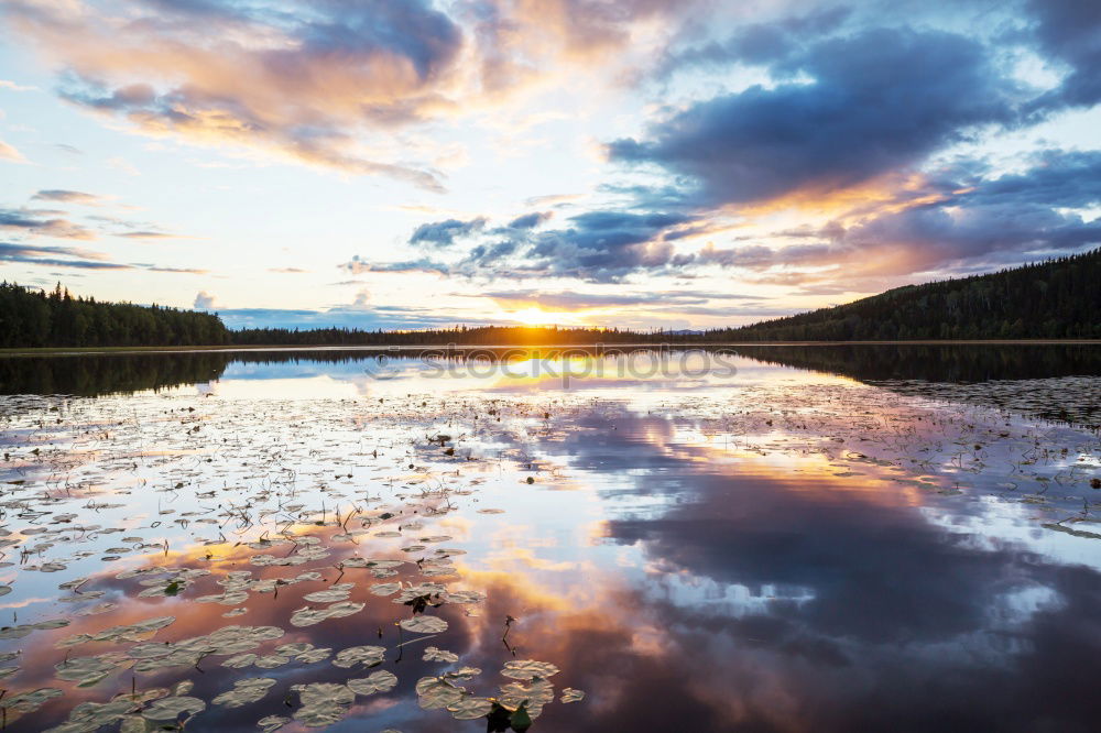 Similar – Image, Stock Photo At the bottom Environment