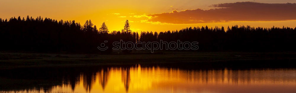 Similar – Image, Stock Photo Sunset over forest