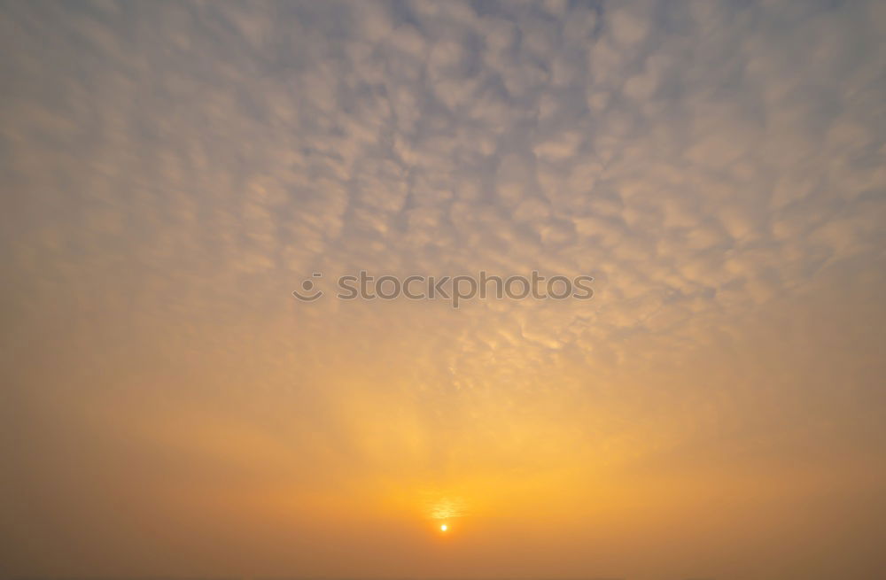 Similar – Pocking Sky Red Tree Town