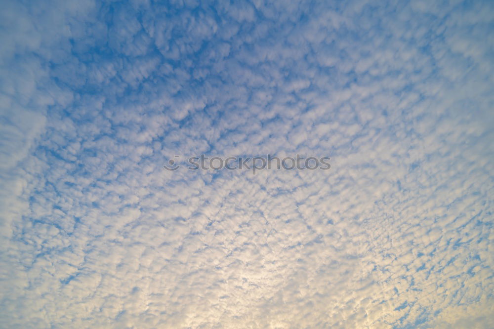 Similar – cotton wool clouds