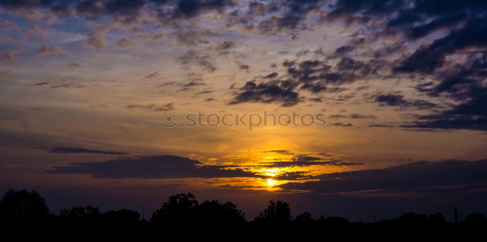 Similar – Image, Stock Photo Sunset. Silhouette of trees and bushes in front of the setting sun.