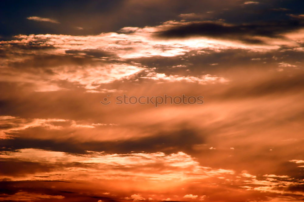 Similar – Image, Stock Photo sundown Sunset Forest Sky