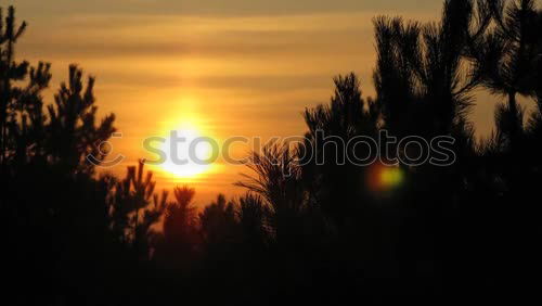 Similar – Image, Stock Photo Sunset by Snow Sky Clouds