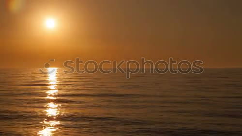 Similar – Image, Stock Photo Deer Sunset Landscape