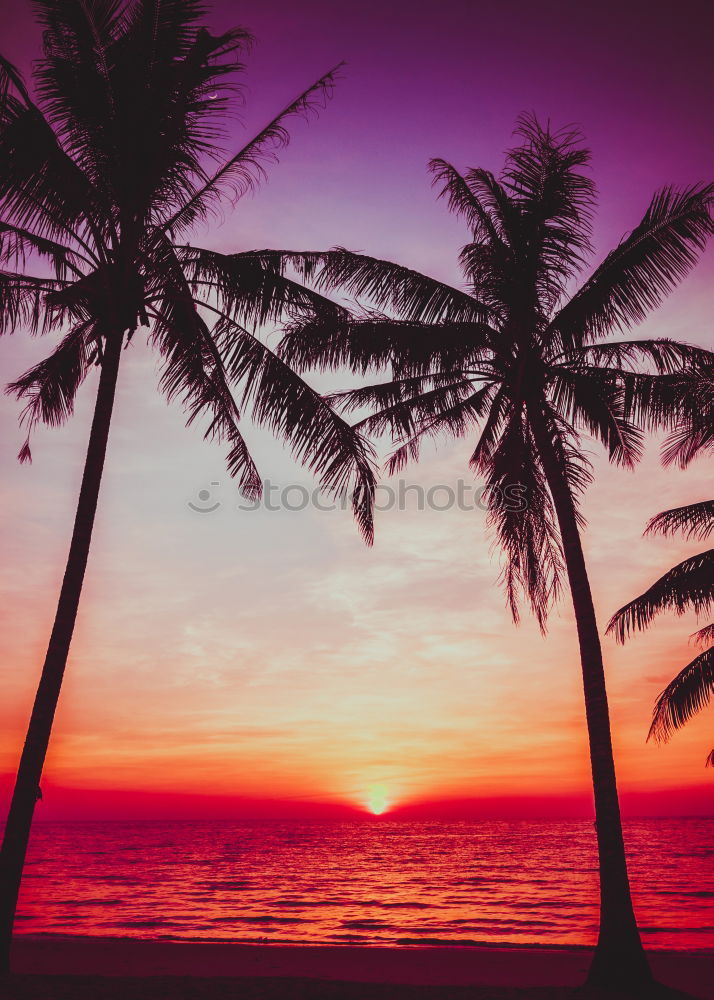 Similar – simply beautiful Sunset