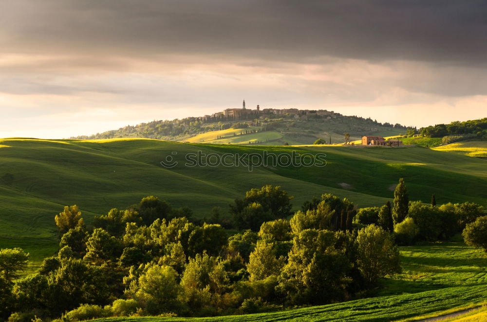 Similar – Tuscan olive trees and fields in the near farms, Italy