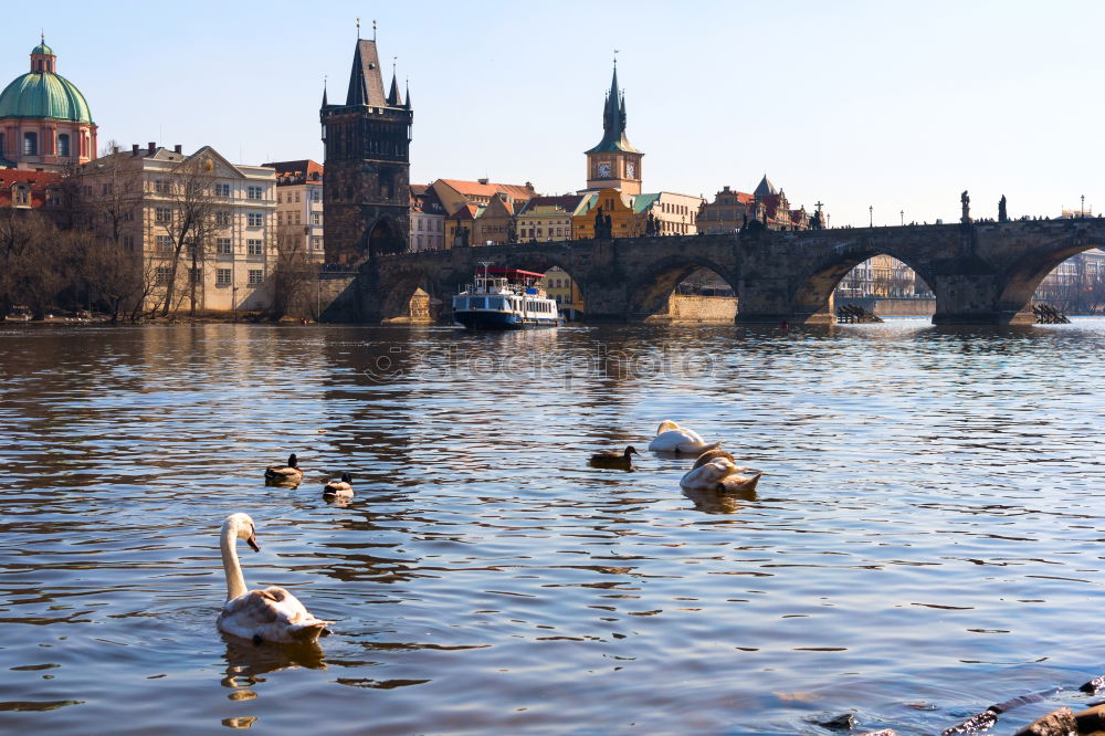 Similar – Prague city and Vltava river at sunset