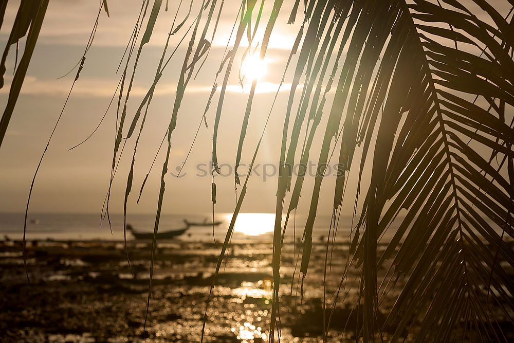 Similar – Strand Malediven