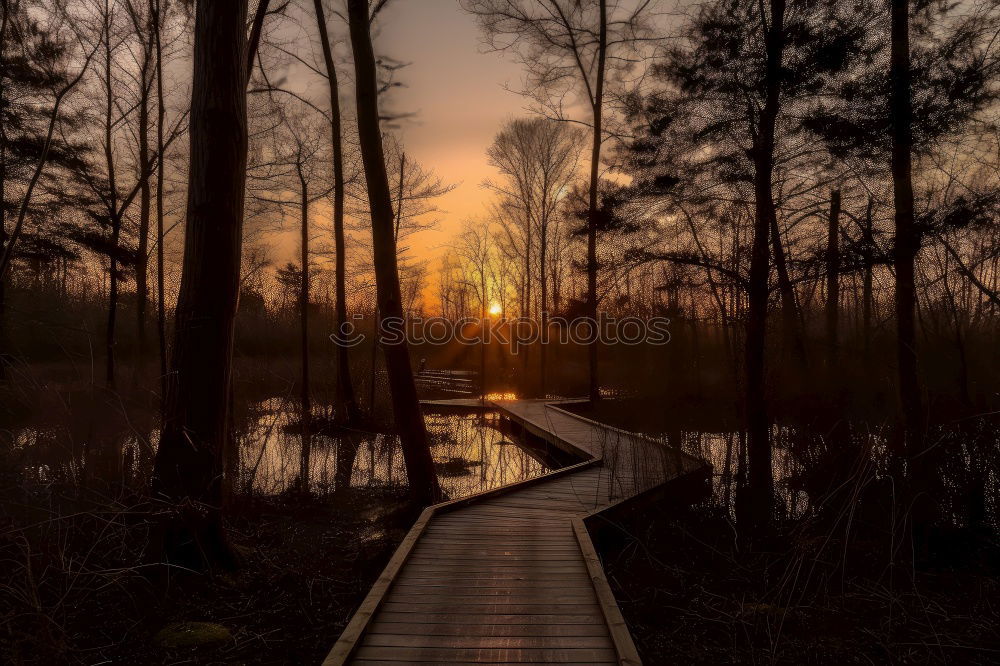 Similar – Image, Stock Photo Sunset in Sweden Calm