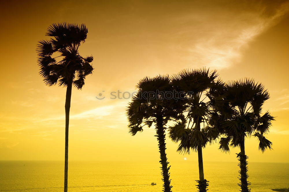 Similar – Image, Stock Photo Los Angeles Beach at Santa Monica Pier