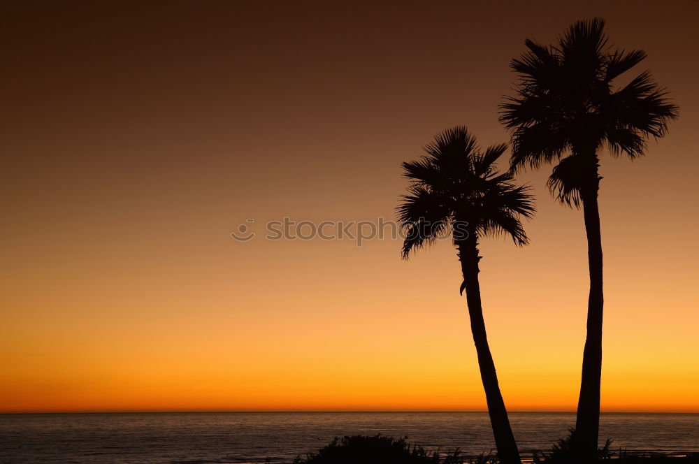 Similar – venice beach Strand