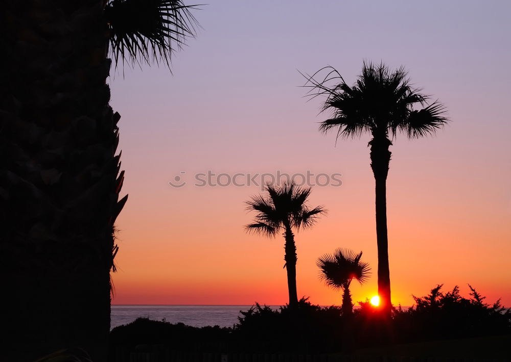 Similar – venice beach Strand