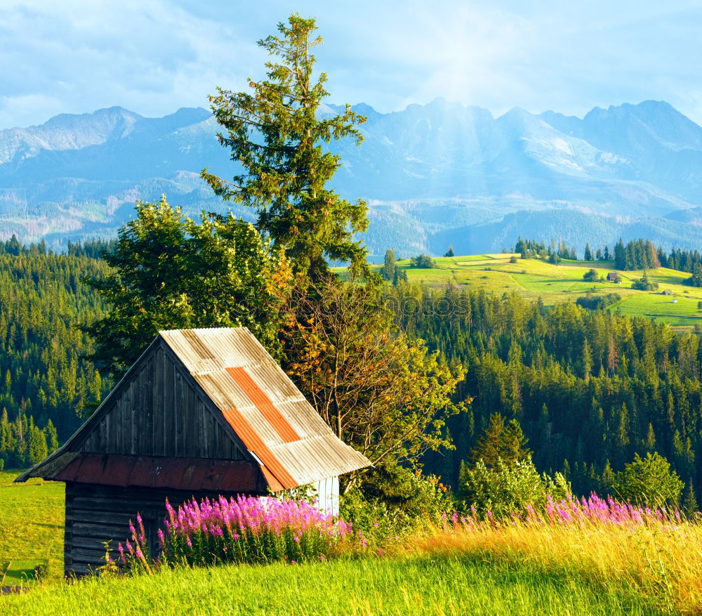 Similar – happy lovers on Holiday in the alps mountains