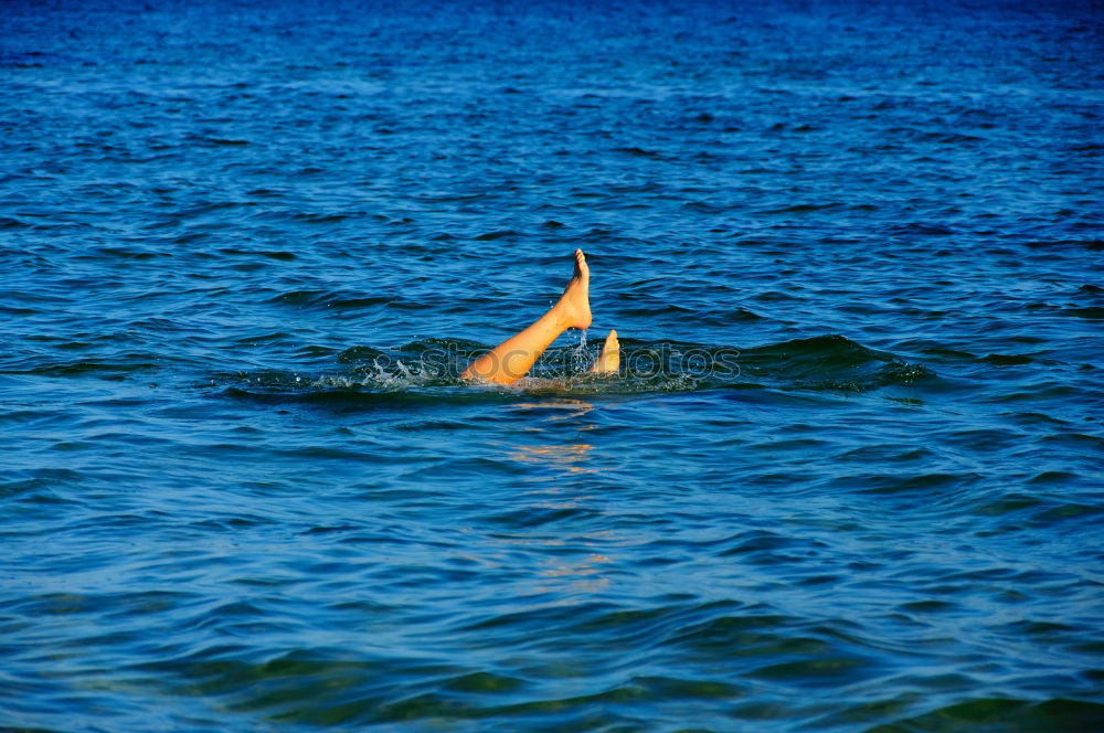 Similar – Image, Stock Photo Woman in the sea