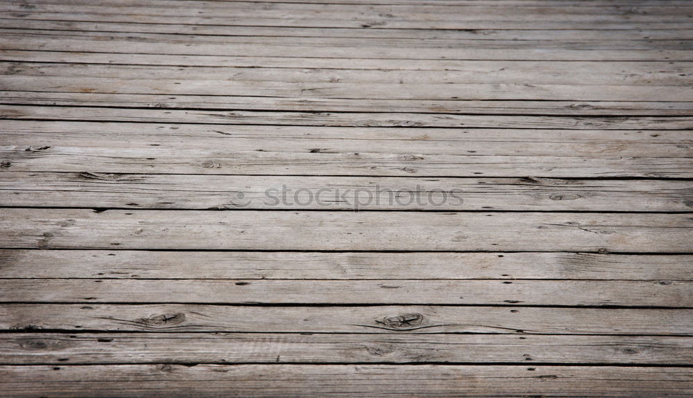 Similar – Image, Stock Photo End of grief Animal Pelt