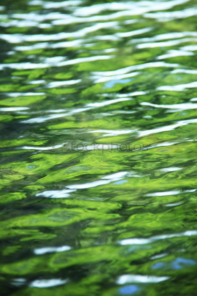 Similar – Image, Stock Photo reflection leaves water sky