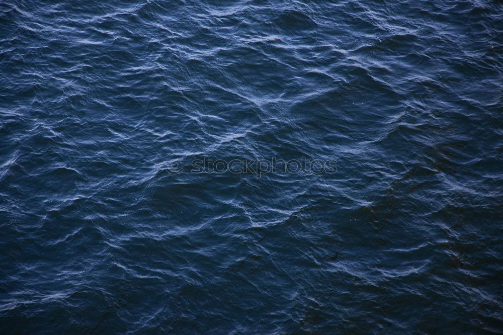 Similar – Image, Stock Photo the Elbe Environment