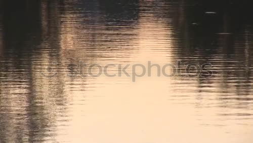 Similar – Light reflection in the pond