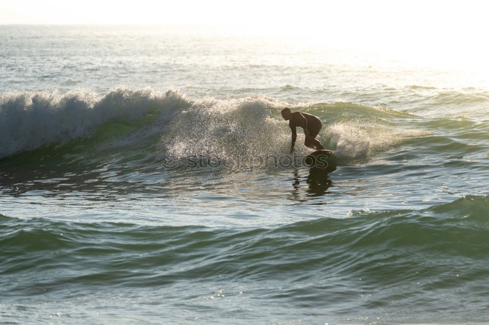 longboarder Surfboard