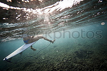 Similar – Image, Stock Photo The jump into the cold water