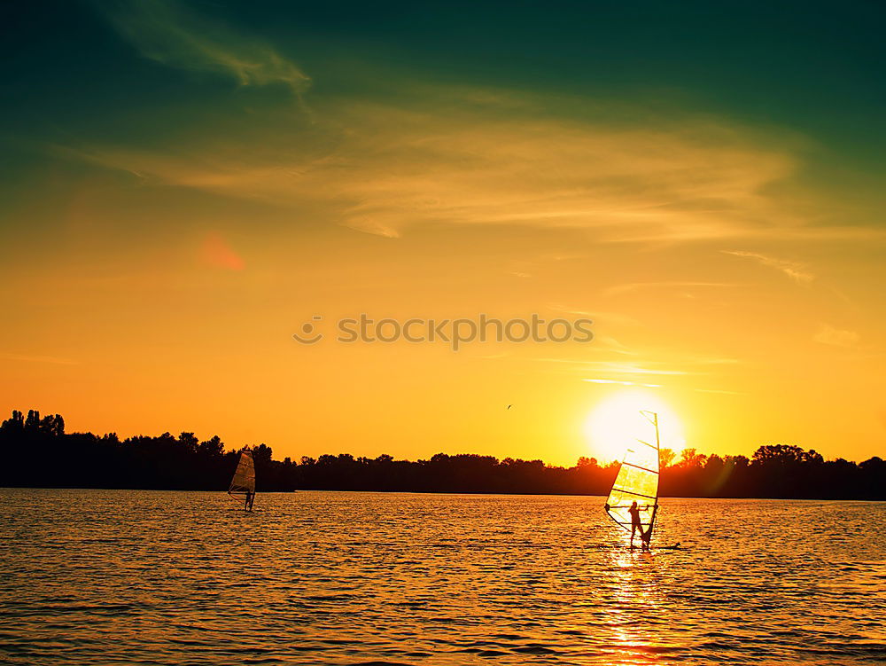 Foto Bild Summer in the City
