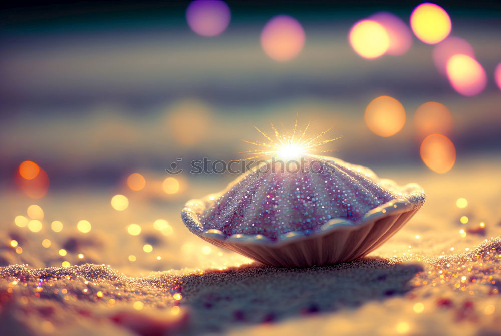 Similar – Image, Stock Photo snail shell Elegant Style