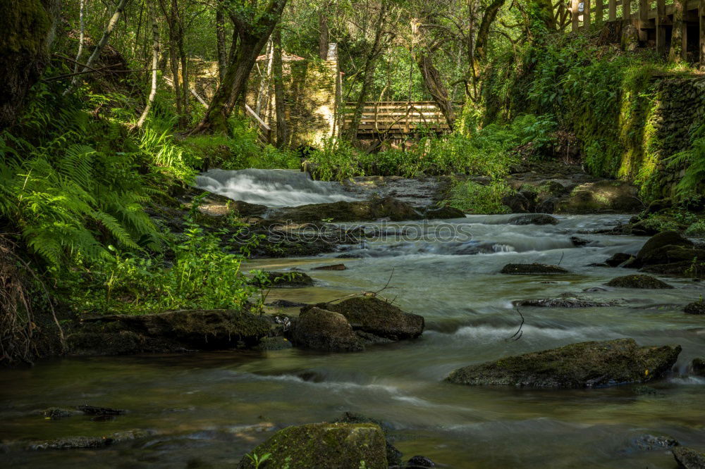 Similar – Bridging the Canyon