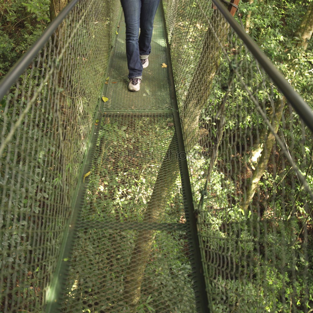 Similar – Hängebrücke zwischen zwei grossen Bäumen, Amazonasbecken, Peru, Südamerika