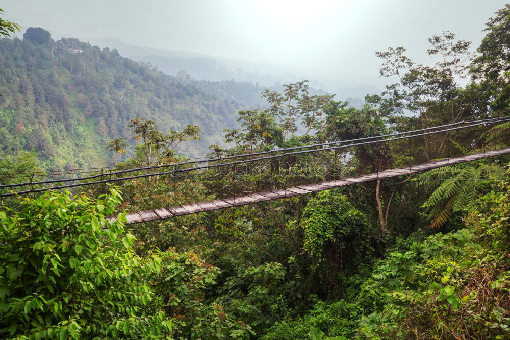 Similar – Image, Stock Photo Demodara Nine-Arches-Bridge near Ella, Sri Lanka