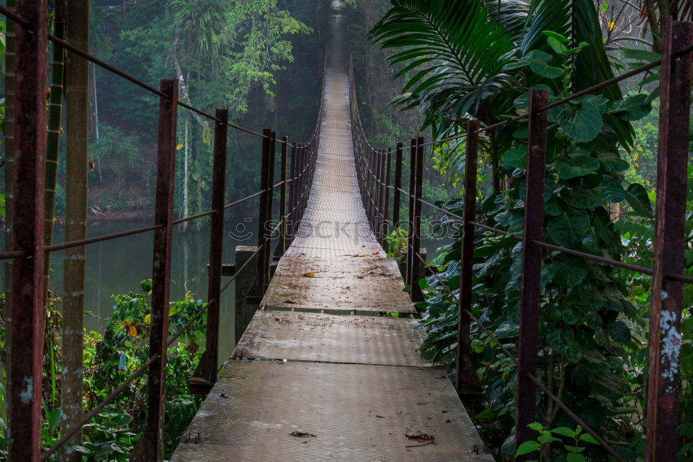 Similar – Image, Stock Photo just be! Vacation & Travel