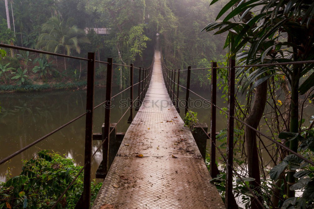 Similar – Image, Stock Photo just be! Vacation & Travel