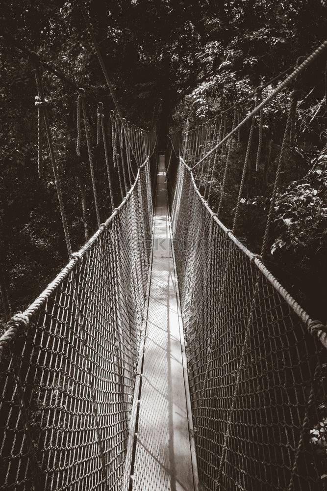 Similar – Bridge to nowhere Fog