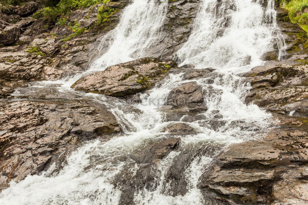 Similar – milford sound Environment