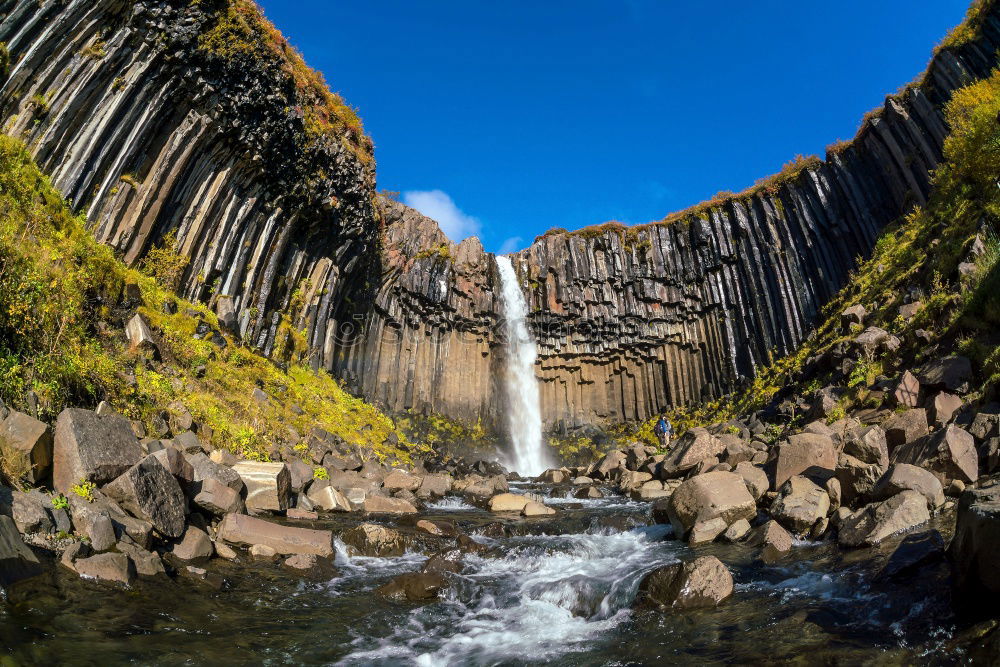 Similar – Image, Stock Photo Svartifoss Beautiful Life